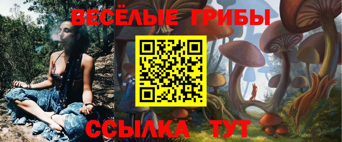 Надым  Псилоцибиновые грибы Psilocybe  Галлюциногенные грибы GOLDEN TEACHER  Вход с VPN 