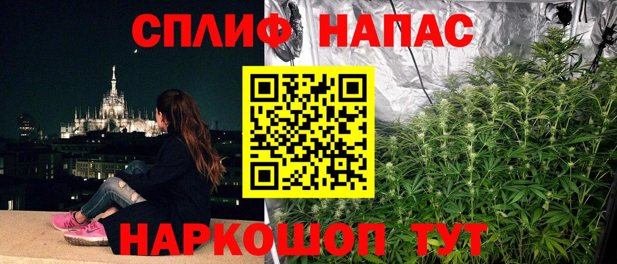Каннабис план Надым